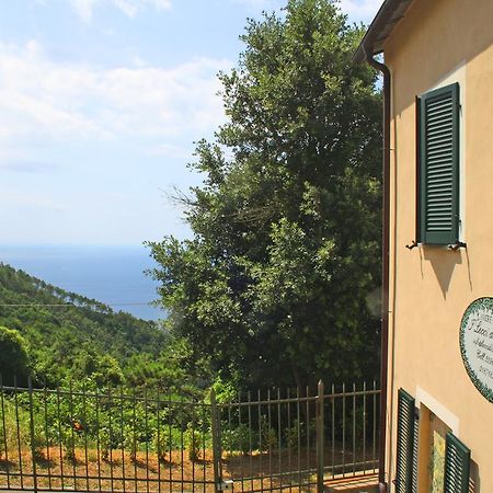 I Lecci Di Soviore Monterosso al Mare Exterior foto