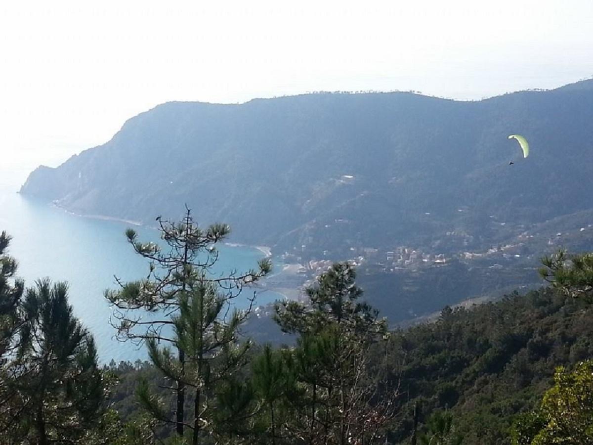 I Lecci Di Soviore Monterosso al Mare Exterior foto