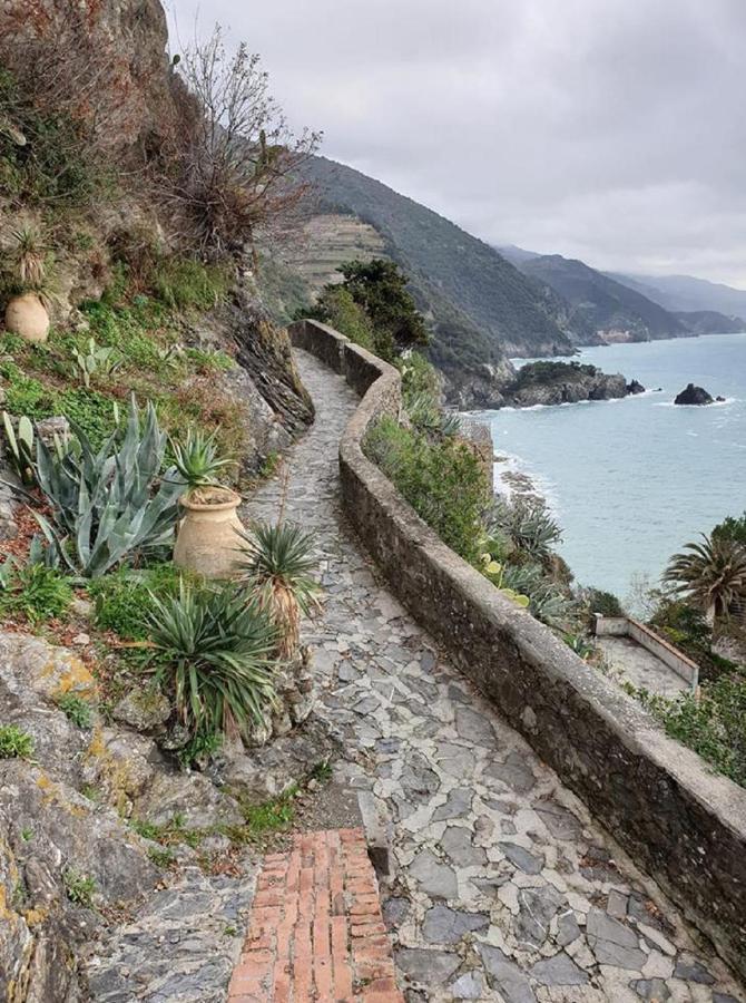 I Lecci Di Soviore Monterosso al Mare Exterior foto